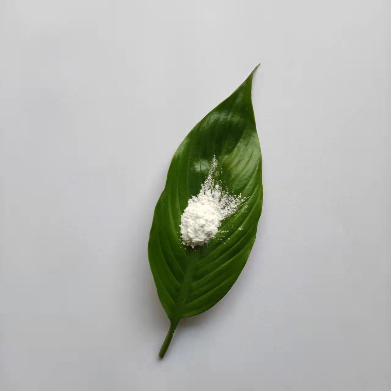 īӡü{